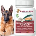 Grünlippmuschel Kapseln für Hunde - Reines Naturprodukt - Wertvolle Inhaltsstoffe für Welpen, Adulte Hunde & Senioren - 100 % Grünlippmuschel🐕