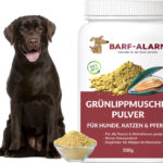 Grünlippmuschelpulver für Hunde - Reines Naturprodukt- Schonende Herstellung - Wertvolle Bestandteile - 100 % Grünlippmuschel für den