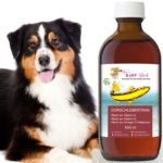 Dorschlebertran für Hunde - Reines Naturprodukt - Wertvolle Vitamine - Für Welpen und Junghunde 🐕